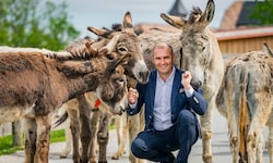 Geschäftsführer Dieter Ehrengruber mit geretteten Eseln.