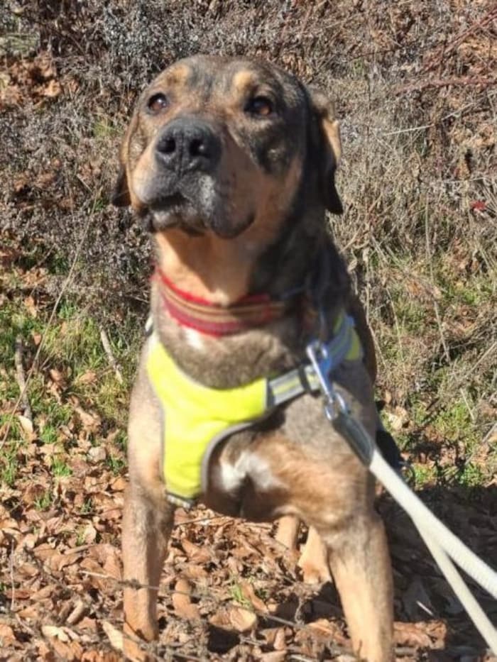 Wer möchte mich für immer liebhaben?