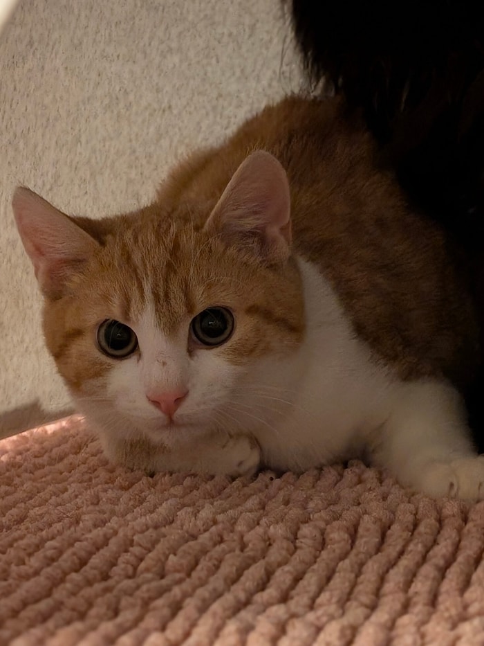 Ruhiger Dauerplatz erträumt