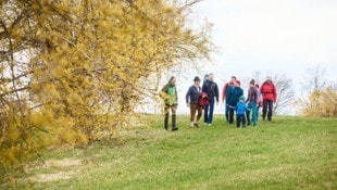 Gemeinsames Wandern im Blütenmeer „Dirndltal“
