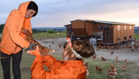 Tierschützerinnen Maya Schnabl (links) und Kathi Koch (rechts) beim Hühnerpflücken im mobilen ...