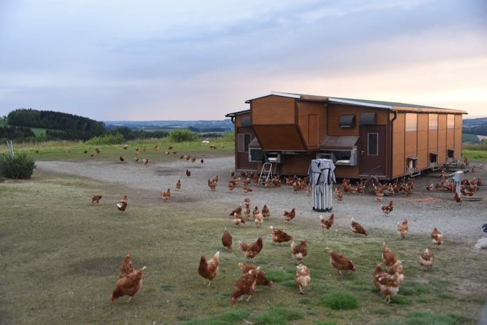 Der mobile Stall wird regelmäßig bewegt und alle 1,5 Jahre neu besiedelt