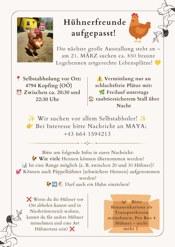 Der Aufruf der Tierschützerinnen auf Facebook
