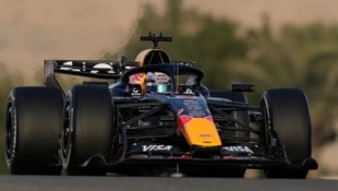 Max Verstappen dominierte in seiner bisherigen Karriere jeden Teamkollegen. Auch heuer?