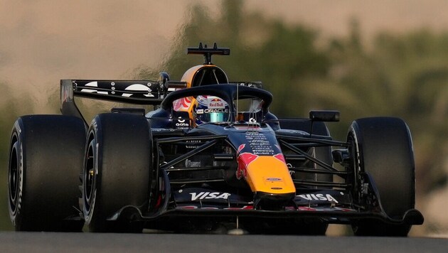 Max Verstappen dominierte in seiner bisherigen Karriere jeden Teamkollegen. Auch heuer?