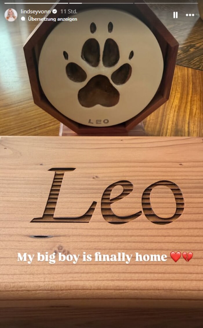 „Mein großer Junge ist endlich zuhause“