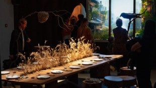 „Refuge for Resurgence“: Der „Zufluchtsort für das Wiederaufleben“ versammelt unterschiedliche ...