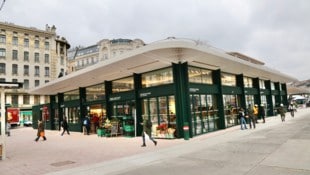 Der Bau der Naschmarkthalle sorgte für viel Kritik.