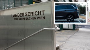 Ein ehemaliger Wiener Anwalt wurde im Landl nicht rechtskräftig freigesprochen.