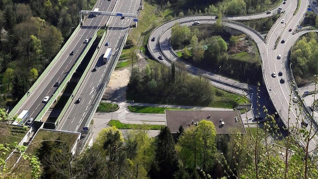 Allein Straßen und Verkehrsflächen beanspruchen rund 32 Quadratkilometer, das entspricht ...