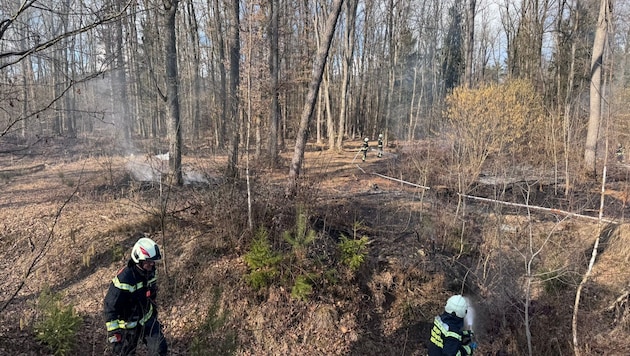 Waldbrand in Klagenfurt