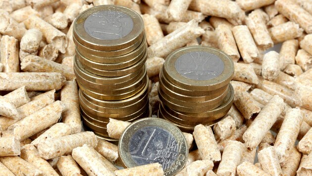 Am 5. März ist Energiespartag. Mit Holzpellets hat man als Privater mehr Spielraum, sagt ...