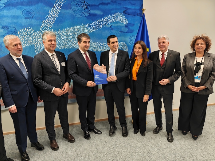 Die Deklaration wurde dann an den zuständigen EU-Kommissar Raphaele Fitto übergeben.