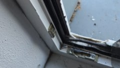 Spuren des nächtlichen Einbruchs im Tierheim. 