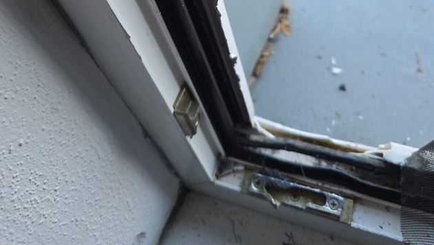 Spuren des nächtlichen Einbruchs im Tierheim.