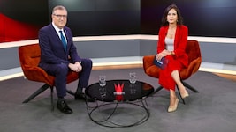 Der israelische Botschafter David Roet im krone.tv-Talk mit Katia Wagner