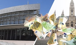 Viel Geld flattert statt ins NÖ-Landhaus jedes Jahr ins Wiener Rathaus.
