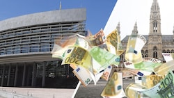 Viel Geld flattert statt ins NÖ-Landhaus jedes Jahr ins Wiener Rathaus.
