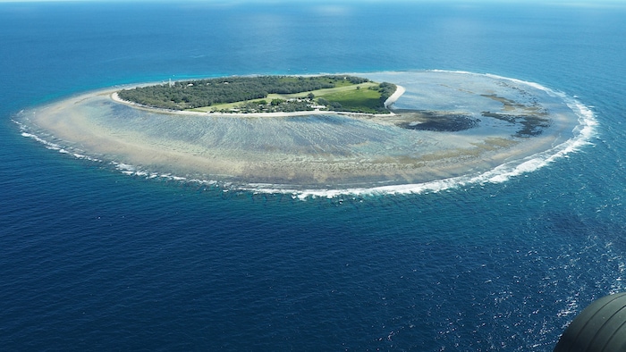 Die Gegend um Lady Elliot Island ist besonders für Mantarochen und Meeresschildkröten berühmt.