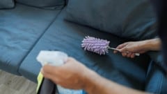 Neun Kilo Kokain versteckt im Schlafsofa: Eine Putzfrau entdeckte das Drogenlager in einer ...