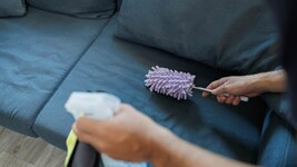 Neun Kilo Kokain versteckt im Schlafsofa: Eine Putzfrau entdeckte das Drogenlager in einer ...