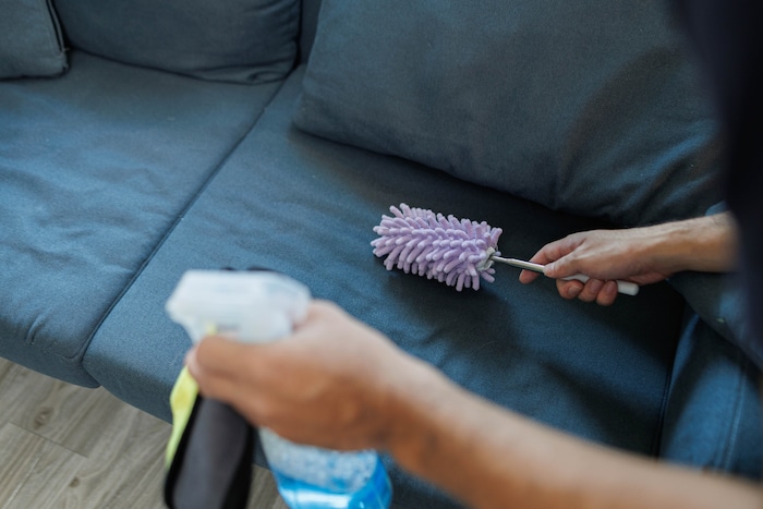 Neun Kilo Kokain versteckt im Schlafsofa: Eine Putzfrau entdeckte das Drogenlager in einer ...