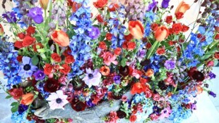 Die Blütenpracht macht Lust auf den Frühling.