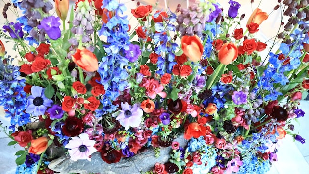 Die Blütenpracht macht Lust auf den Frühling.