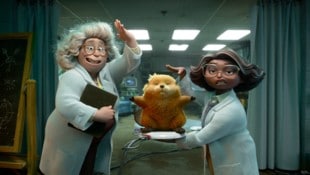 Ab sofort im Kino: „Hoppers“.