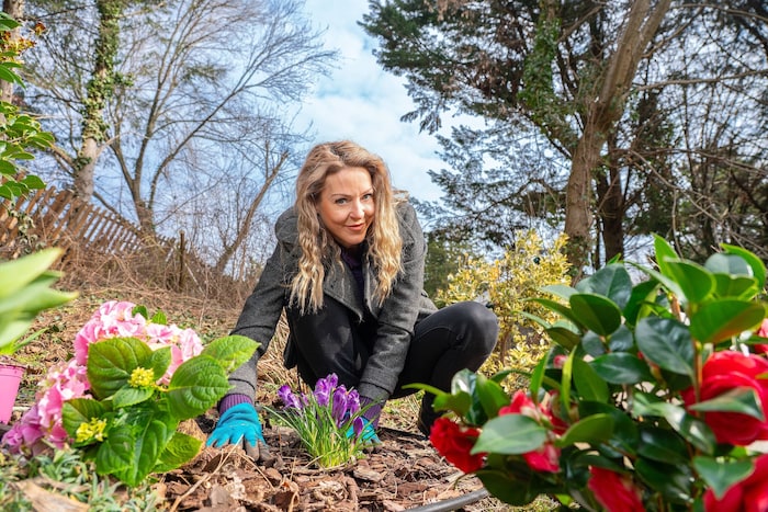 Der Garten in der Lugner-Villa wurde um zahlreiche, frühlingshafte Pflanzen erweitert.