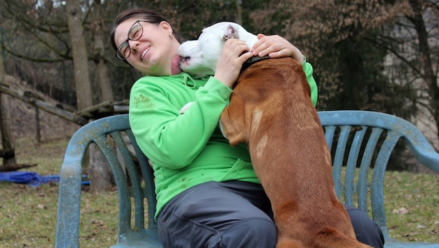 Heute ist „Loki“ lebensfroh, gelehrig und sucht einen neuen Platz im Leben.