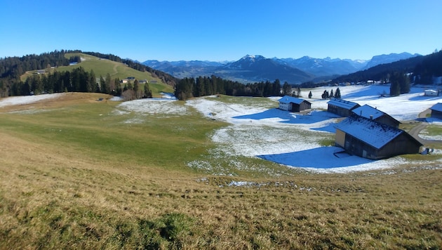 Im idyllischen Bregenzerwald hängt der Haussegen schief.