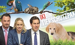 Anstatt breites Experten-Wissen einzuholen, schnapsen sich drei „Partei-Koordinierer“ Armin ...