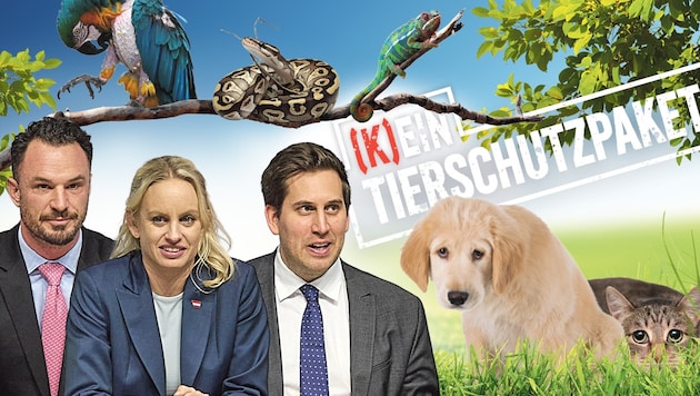 Anstatt breites Experten-Wissen einzuholen, schnapsen sich drei „Partei-Koordinierer“ Armin ...