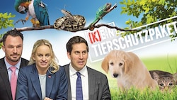 Anstatt breites Experten-Wissen einzuholen, schnapsen sich drei „Partei-Koordinierer“ Armin ...