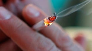 Sie kennen vielleicht den Satz „Das geht ganz schön auf die Knochen“. Gemeint ist damit in der ...