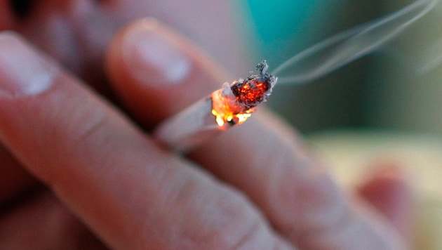 Sie kennen vielleicht den Satz „Das geht ganz schön auf die Knochen“. Gemeint ist damit in der ...