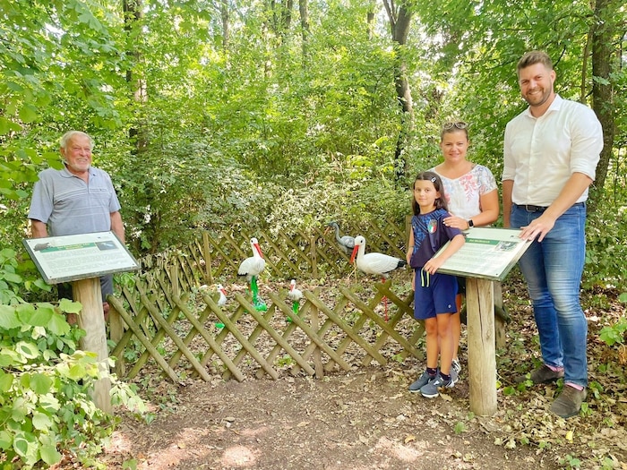 Am Walderlebnisweg Hornstein gibt es einiges zu entdecken.