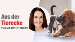 In ihrer monatlichen Kolumne schreibt „Krone“-Tierecke-Leiterin Maggie Entenfellner über Themen ...
