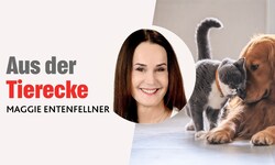 In ihrer monatlichen Kolumne schreibt „Krone“-Tierecke-Leiterin Maggie Entenfellner über Themen ...