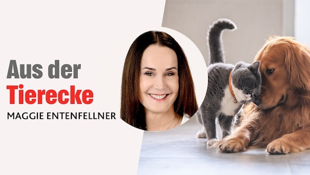 In ihrer monatlichen Kolumne schreibt „Krone“-Tierecke-Leiterin Maggie Entenfellner über Themen ...