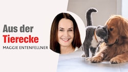 In ihrer monatlichen Kolumne schreibt „Krone“-Tierecke-Leiterin Maggie Entenfellner über Themen ...