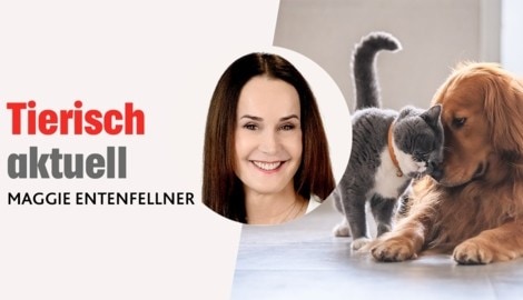 In ihrer monatlichen Kolumne schreibt die Leiterin der „Krone“ Tierecke über aktuelle Themen im ...