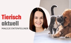 In ihrer monatlichen Kolumne schreibt „Krone“-Tierecke-Leiterin Maggie Entenfellner über Themen ...