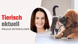 In ihrer monatlichen Kolumne schreibt „Krone“-Tierecke-Leiterin Maggie Entenfellner über Themen ...