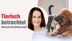In ihrer monatlichen Kolumne schreibt die Leiterin der „Krone“ Tierecke über aktuelle Themen im ...