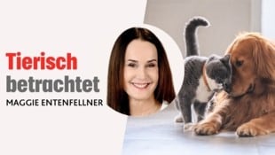 In ihrer monatlichen Kolumne schreibt die Leiterin der „Krone“ Tierecke über aktuelle Themen im ...