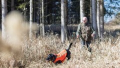 Alois Russegger (r.) mit seienr Aloysia waren bei der Prüfung am Donnerstag in der Antheringer ...
