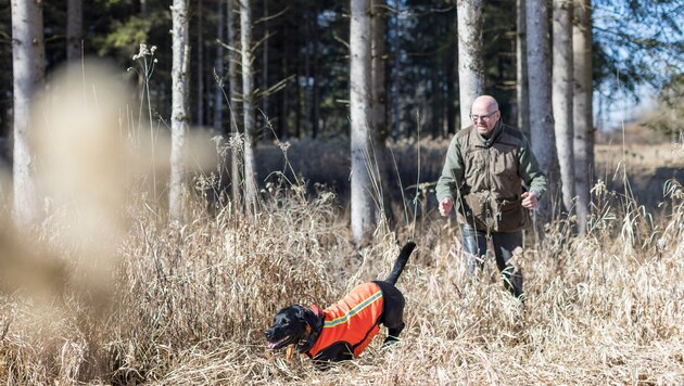 Alois Russegger (r.) mit seienr Aloysia waren bei der Prüfung am Donnerstag in der Antheringer ...