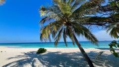 Ab dem kommenden Schuljahr können Welser Lehrer einen Traumurlaub gewinnen. 